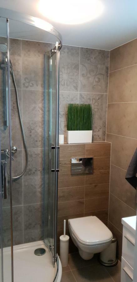 Apartment Lenartowicza *